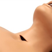 S__74915880