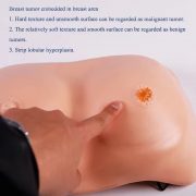 line_oa_chat_241020_175603_group_1